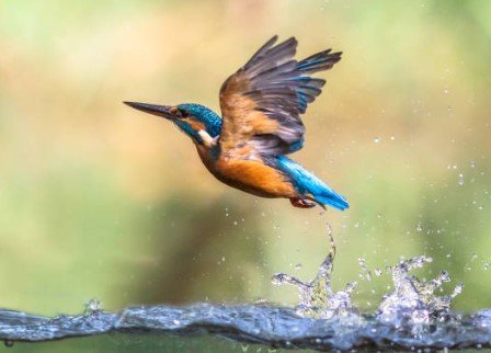 八大行業酒店兼職-身為女性你的薪水被歧視?